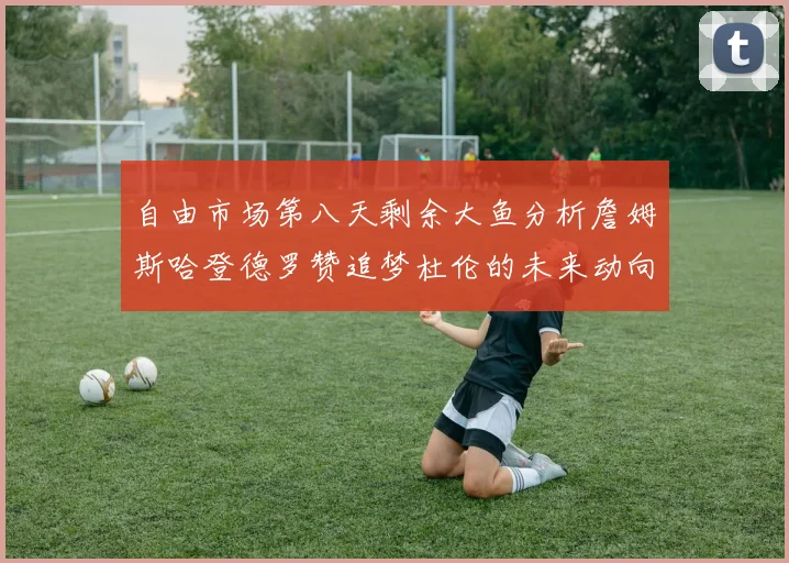 自由市场第八天剩余大鱼分析詹姆斯哈登德罗赞追梦杜伦的未来动向
